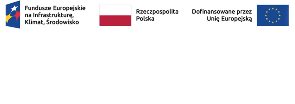 Logotyp Funduszy Europejskich